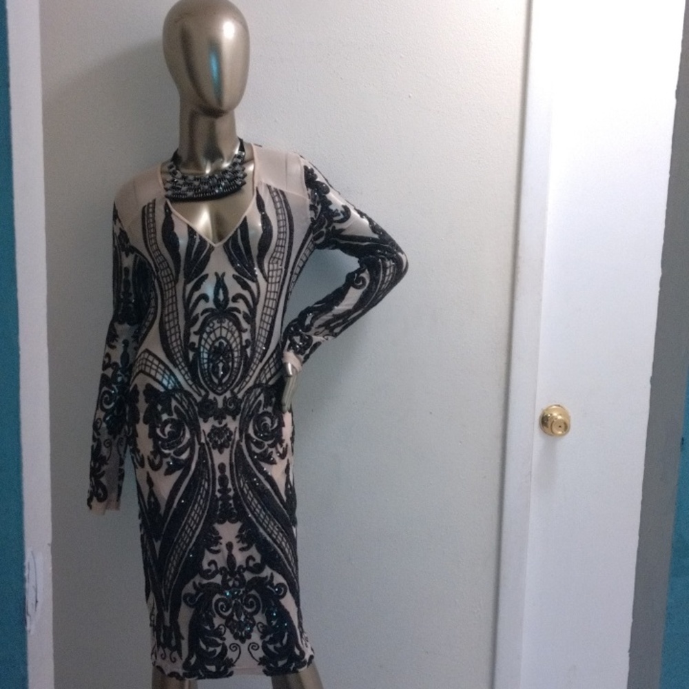 Fashion Nova see-through lace sequence dress